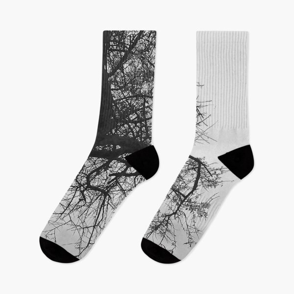 Item preview, Bare Tree Branches Winter designed and sold by Anna Lemos.