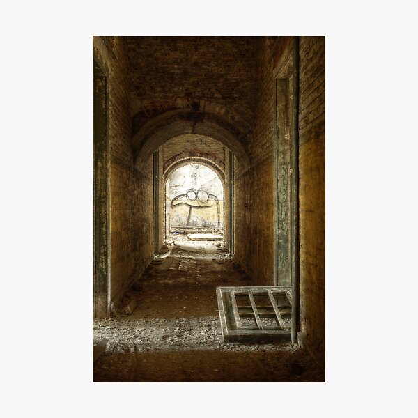 Free bird Photographic Print