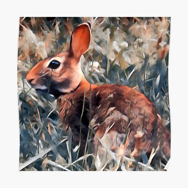 Woodland bunny rabbit Poster