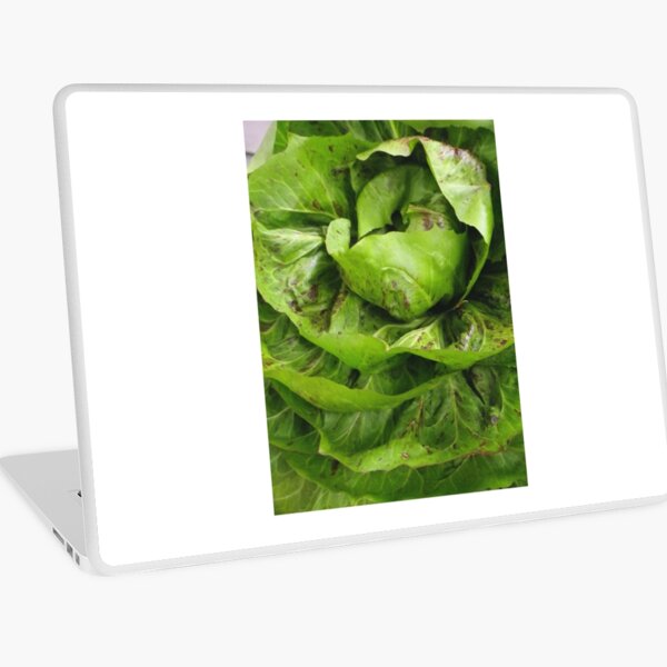 A Head of Lettuce Laptop Skin