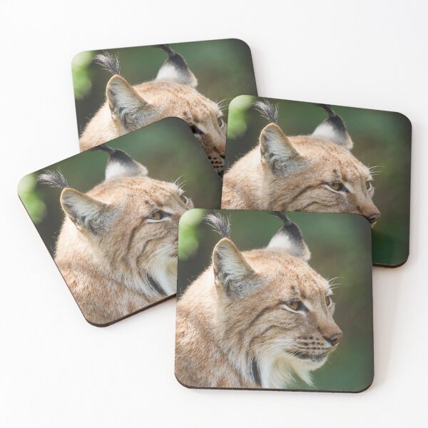 Item preview, Bobcat Beautiful Up Close designed and sold by mydesignsbylar.