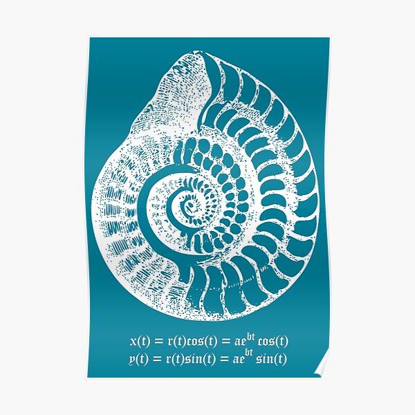 Spiral Shell with Math (blue) Poster