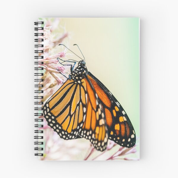 Item preview, Butterfly designed and sold by ArtbyLina.