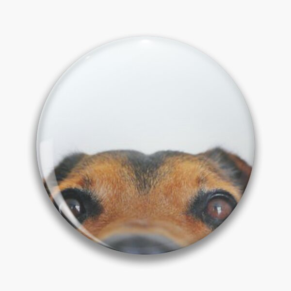 Item preview, Dog looking out at you. :) designed and sold by Crobin1961.