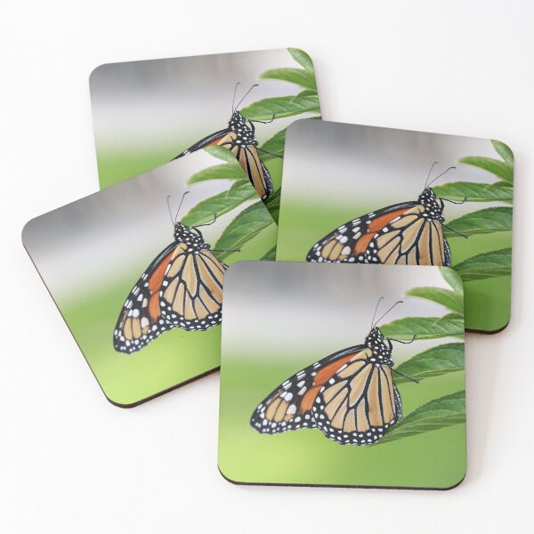 Item preview, Resting Monarch designed and sold by StampCity.