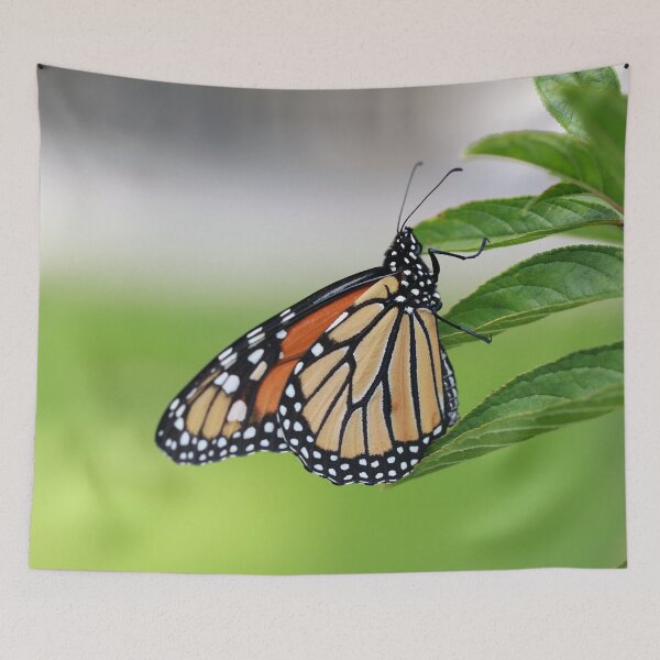 Item preview, Resting Monarch designed and sold by StampCity.
