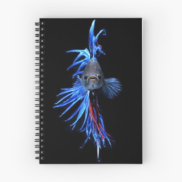 Item preview, Betta fishes designed and sold by KellyJanosko-bd.