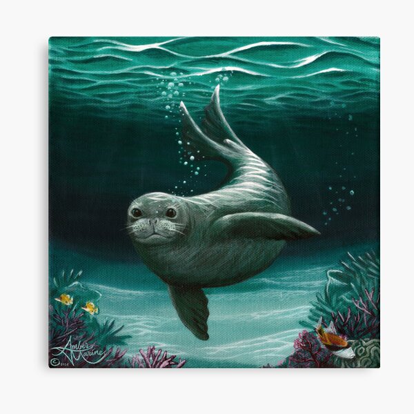 "Hawaiian Monk Seal" by Amber Marine ~ Acrylic painting, art © 2015 Canvas Print