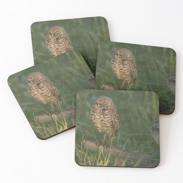 Item preview, Burrowing Owl Nest designed and sold by TinyCameraNinja.