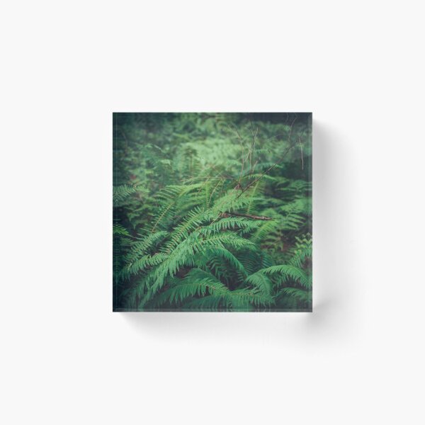 Item preview, Covered in Ferns designed and sold by Li Kovacs.