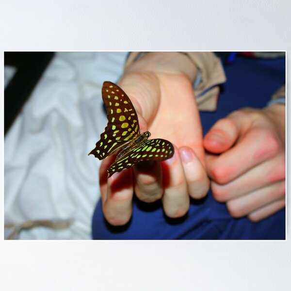 Item preview, Wings in your palms. designed and sold by xenxen.