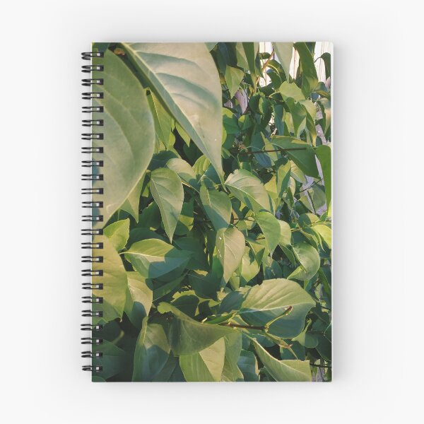 Item preview, Sunlight on Leaves designed and sold by Caryn Pinkston.