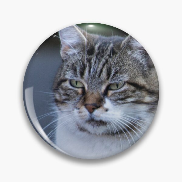 Item preview, fat gray cat designed and sold by MoreGoodArt.