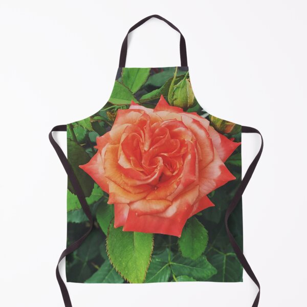 Item preview, A two tone full bloom rose with two buds. designed and sold by ninjapineapple.