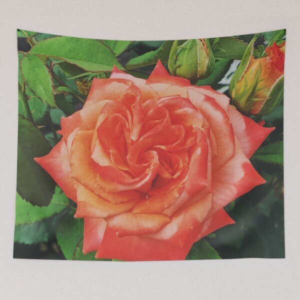 Item preview, A two tone full bloom rose with two buds. designed and sold by ninjapineapple.