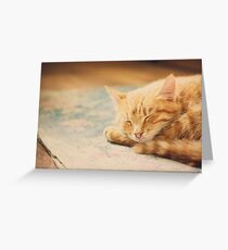 Little Red Kitten Sleeping On Bed Greeting Card
