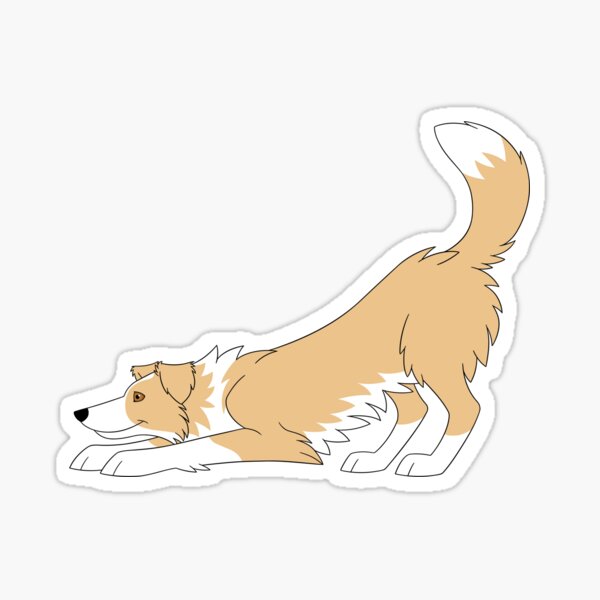 Red Border Collie Stickers For Sale | Redbubble