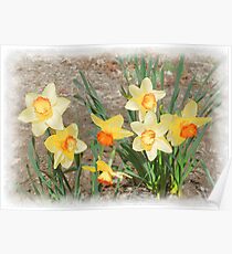 Spring, Take a Bow Poster