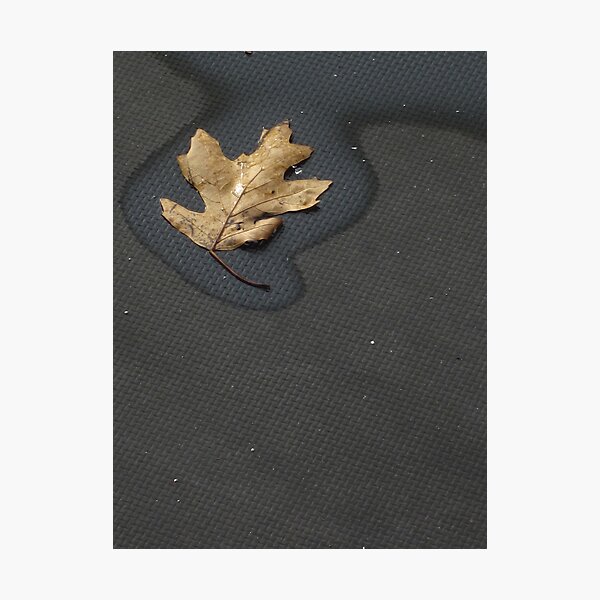 Item preview, Her Smallest Leaf designed and sold by Guy Ricketts.