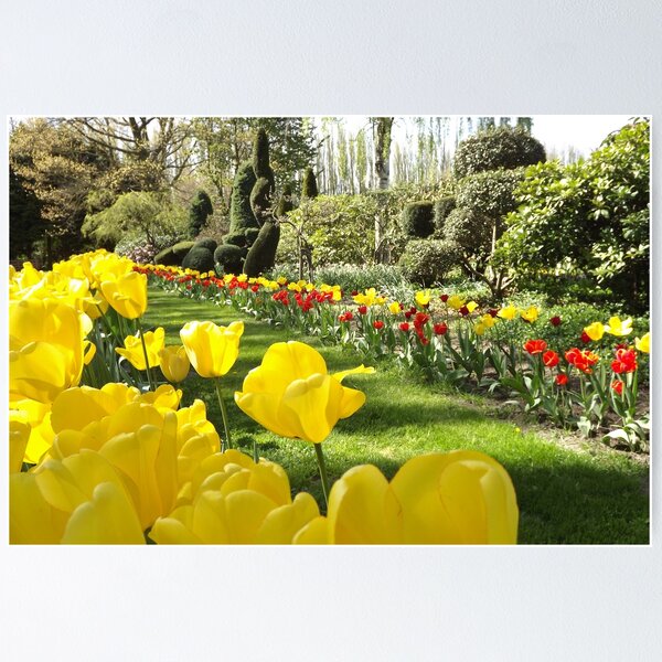 Aperçu de l'œuvre April Tulip Gardens créée et vendue par seeingred13.