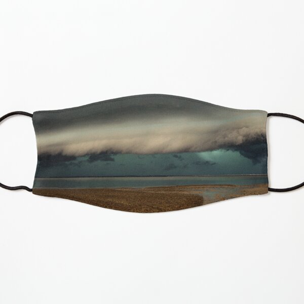Woody Point Pano Kids Mask