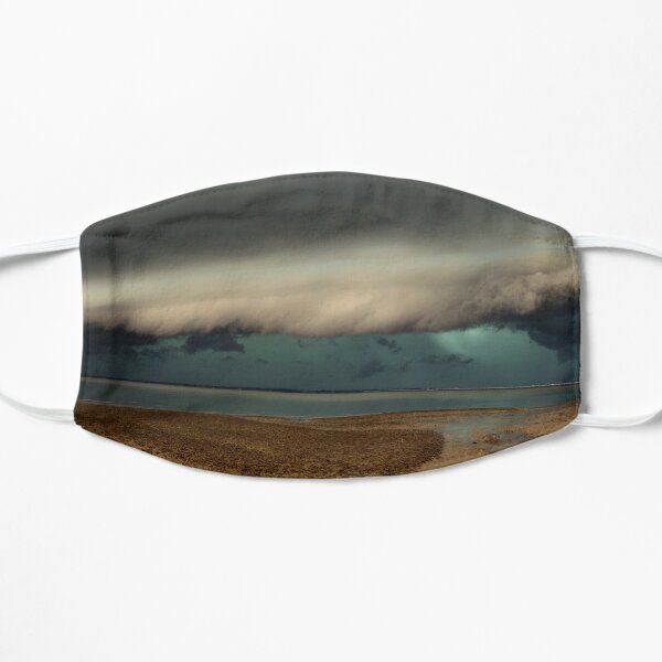 Woody Point Pano Small Mask