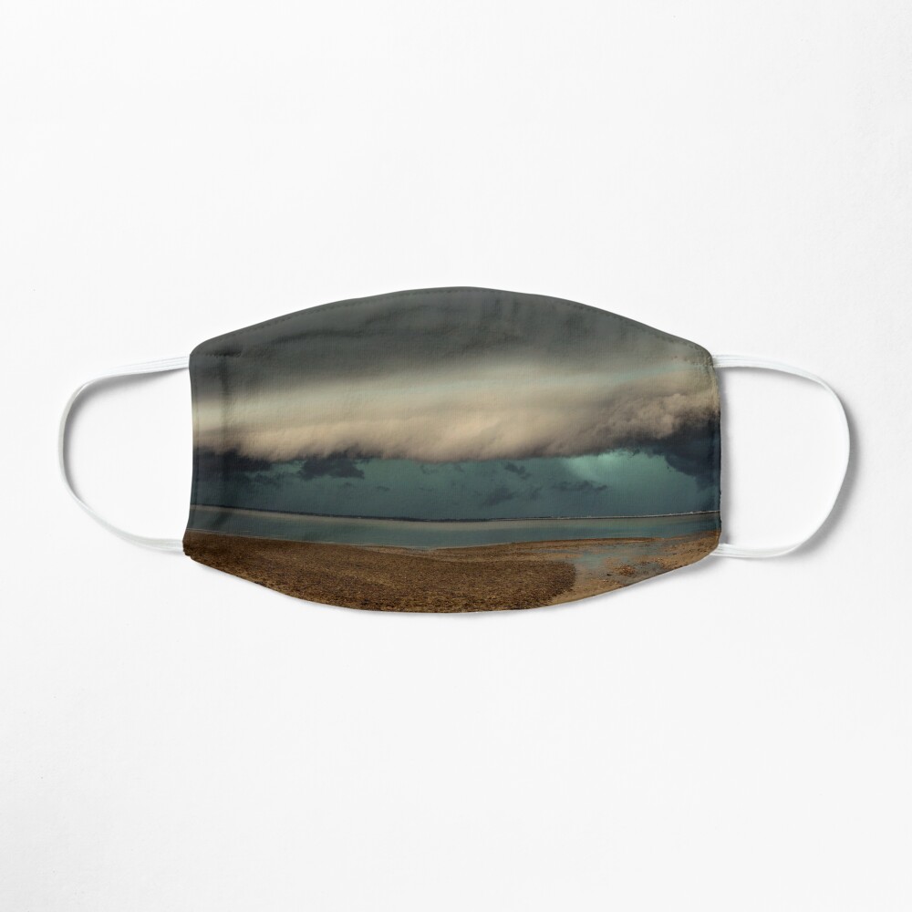 Woody Point Pano Mask