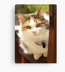 Miss Sadie Canvas Print
