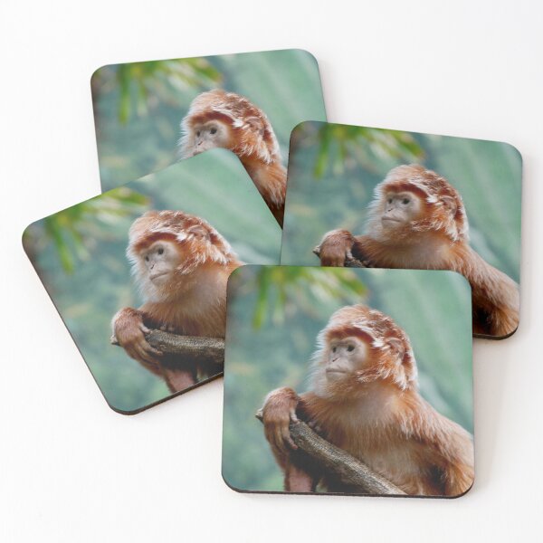 Item preview, Ebony Langur Looking Ahead designed and sold by richardbryce.