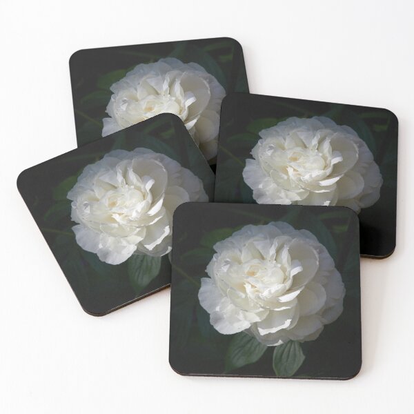 Item preview, Chinese Peony 'Shirley Temple' 3 designed and sold by Jouko Lehto Photography.
