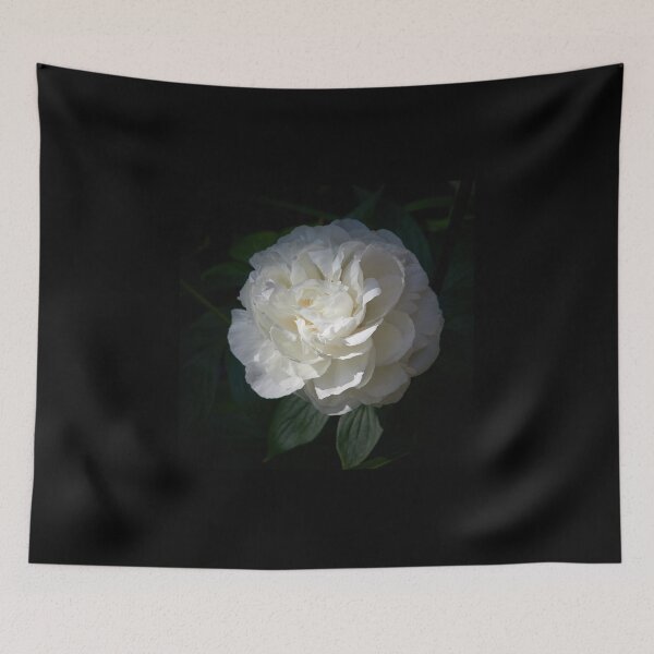 Item preview, Chinese Peony 'Shirley Temple' 3 designed and sold by Jouko Lehto Photography.