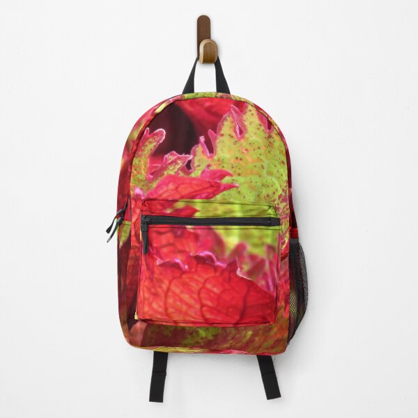 Item preview, Festival designed and sold by wallarooimages.