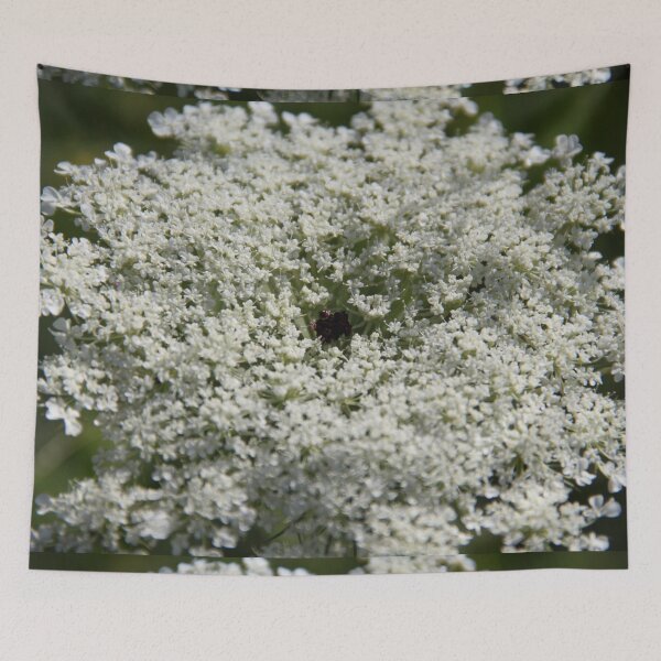 Item preview, Wild white umbel flower head designed and sold by EstelleRossetti.