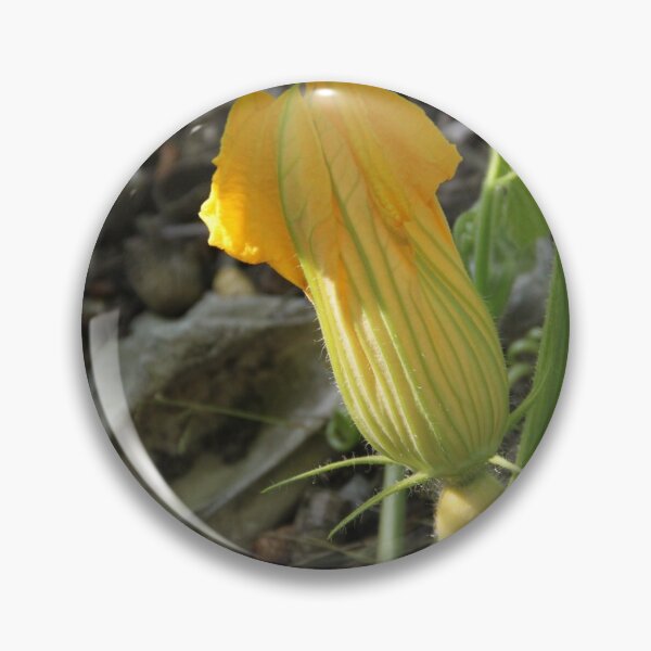 Item preview, Growing pumpkins flowers leaves and fruit designed and sold by EstelleRossetti.