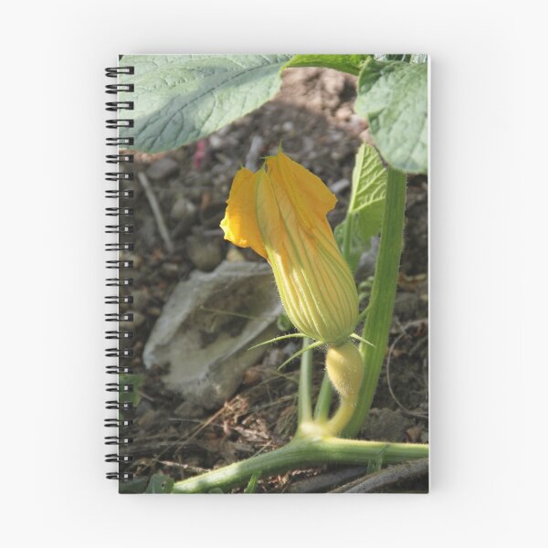 Item preview, Growing pumpkins flowers leaves and fruit designed and sold by EstelleRossetti.