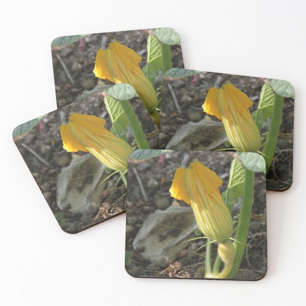 Item preview, Growing pumpkins flowers leaves and fruit designed and sold by EstelleRossetti.
