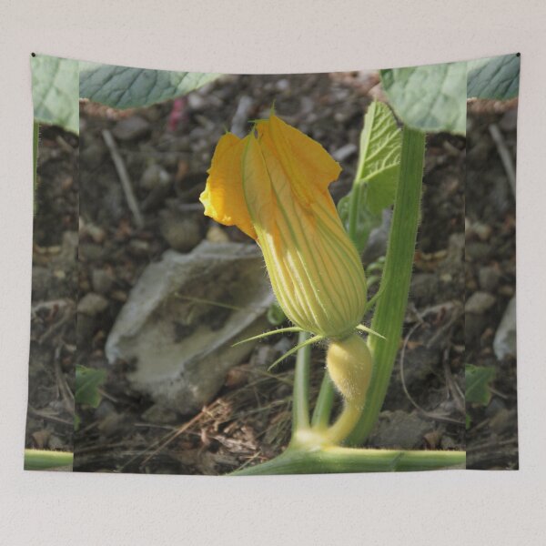 Item preview, Growing pumpkins flowers leaves and fruit designed and sold by EstelleRossetti.