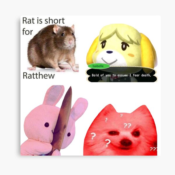 Spicy Animal Meme Pack Canvas Print