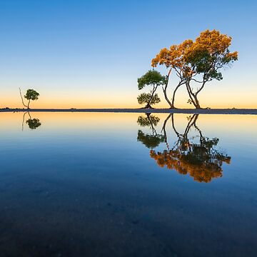 Artwork thumbnail, Beachmere Beach Sunset by Adrian Alford Photography