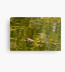 Hitchhiker Metal Print