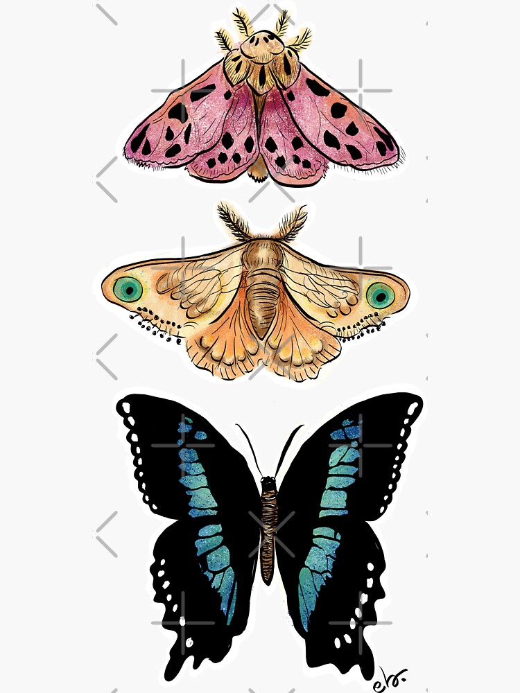 Magical Butterflies & moth by ebozzastudio