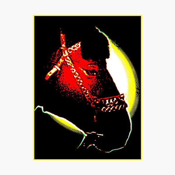 Horse Photographic Print
