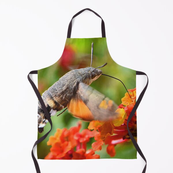 Item preview, Hummingbird Moth (MKW-I.55) designed and sold by Katrina Morgan.