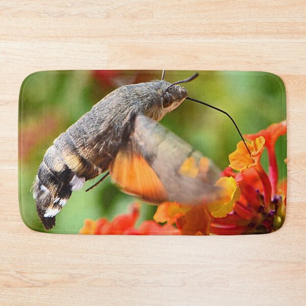 Item preview, Hummingbird Moth (MKW-I.55) designed and sold by Katrina Morgan.