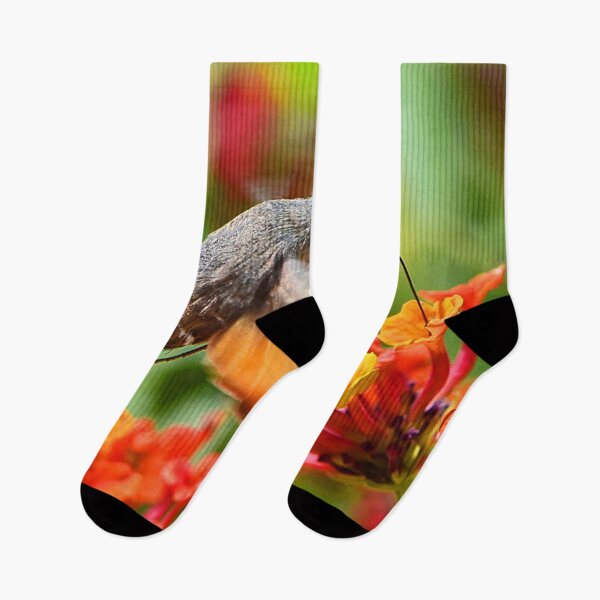 Item preview, Hummingbird Moth (MKW-I.55) designed and sold by Katrina Morgan.