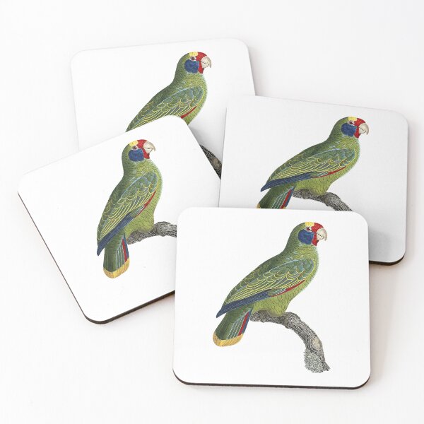 Item preview, Red-tailed amazon designed and sold by Photopicture.