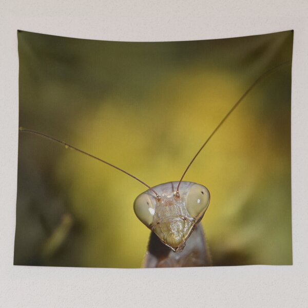Item preview, Mantis (MKW-I.56) designed and sold by Katrina Morgan.