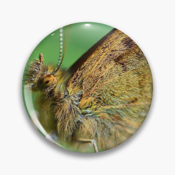 Item preview, Wall Brown Butterfly (MKW-I.59) designed and sold by Katrina Morgan.