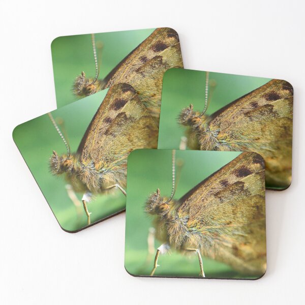 Item preview, Wall Brown Butterfly (MKW-I.59) designed and sold by Katrina Morgan.
