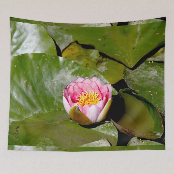 Item preview, Pink water lilies flowers and leaves  designed and sold by EstelleRossetti.